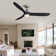 60'' 3 - Blade Dimmable Ceiling Fan With LED Light & Remote Control