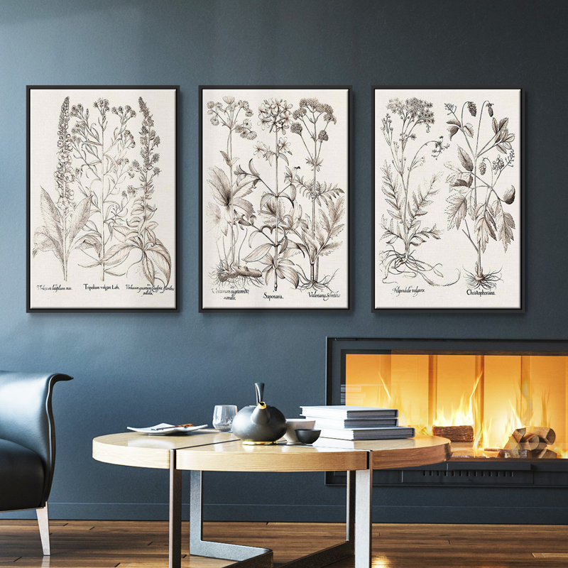 Ensemble de 3 pièces encadrées sur toile sépia Besler Botanicals, H 27 po x l 54 po, Noir