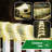 24-ft LED Outdoor Rope Light - Flexible, Linkable & Waterproof Tube Light for Home Décor-1635004762