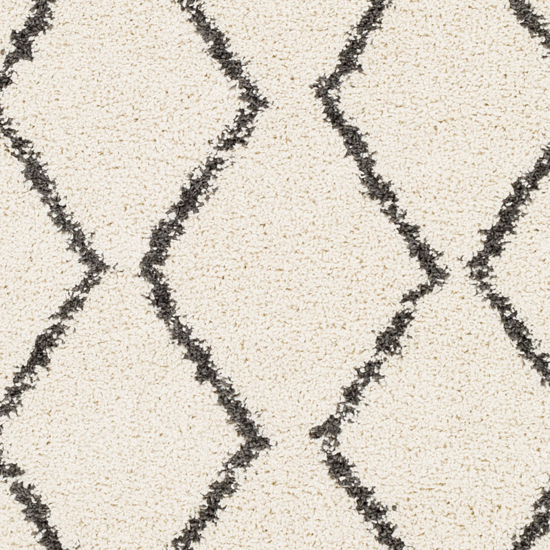Mossy Performance Moroccan Indoor Rug, Rectangle 2' x 3'