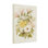 Arrangement floral de plantes et de fleurs aux couleurs pastel douces