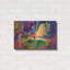 "Artcar 2" par Richard Wallich-992974711