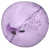 Mauve sélectionné
