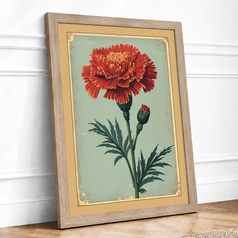 Ruffled Carnation Study Botanical - Framed Print, A3 - 42.0 x 29.7 cm, Oak