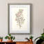 Twig Study I - cadre photo-1017603478-1017603476