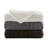 Arctic Larkin Ultra Plush Down Alternative Throw-2124514016