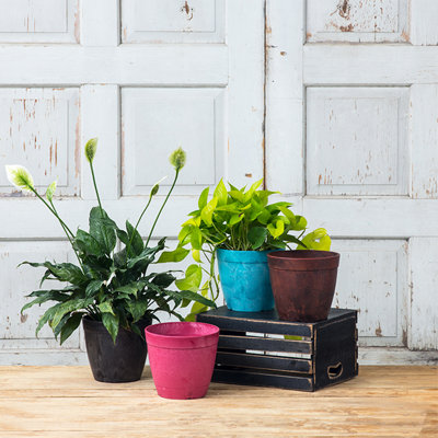 Nashville Pot Planter