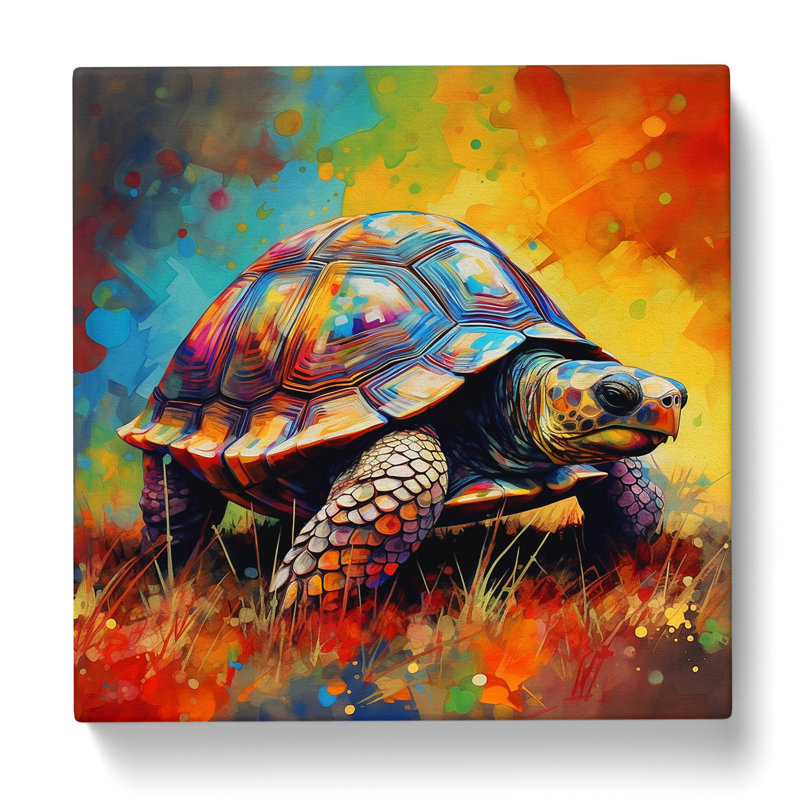 Tortoise Colour Field - No Frame Print, 50cm H x 50cm W x 3cm D