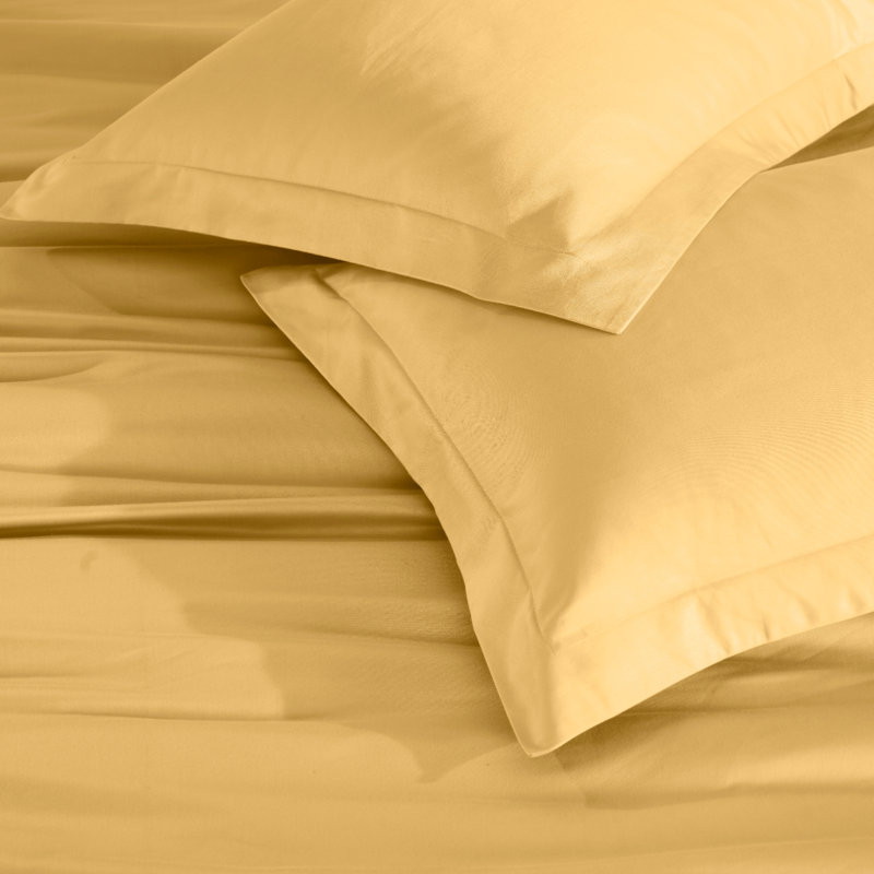 Modern & Contemporary Egyptian Cotton Certified Egyptian Cotton Duvet Cover, Gold, Twin Duvet Cover + 2 Standard Shams