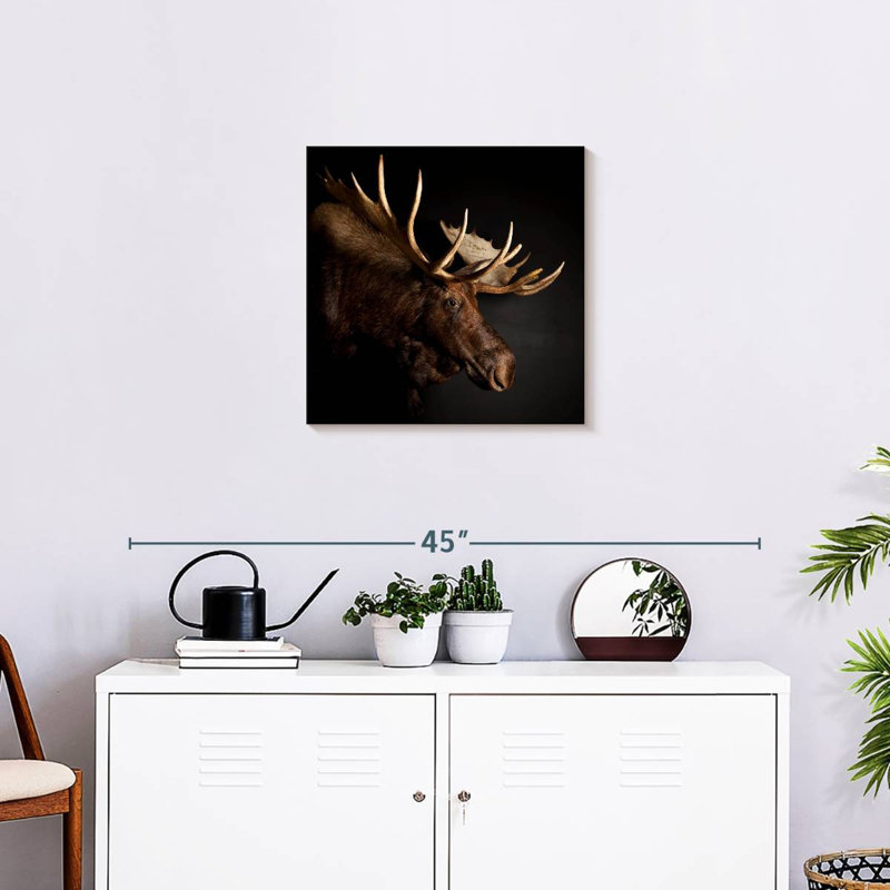 Brampt Antlered Moose, 20" H x 20" W