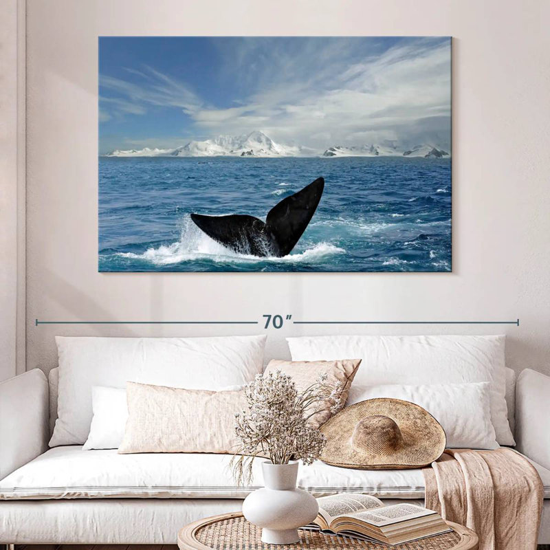 Nicci Antarctic Whale Tail