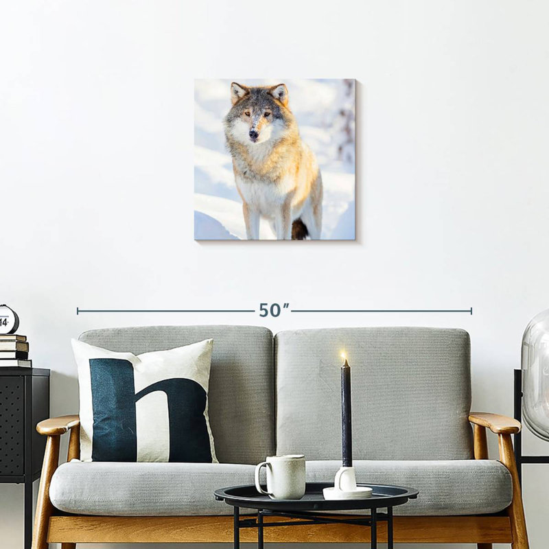 Brampt Winter Gray Wolf