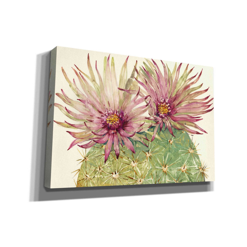 «Cactus Blossoms I» par Tim O'toole, art mural sur toile, H 18 po x l 26 po x P 0,75 po
