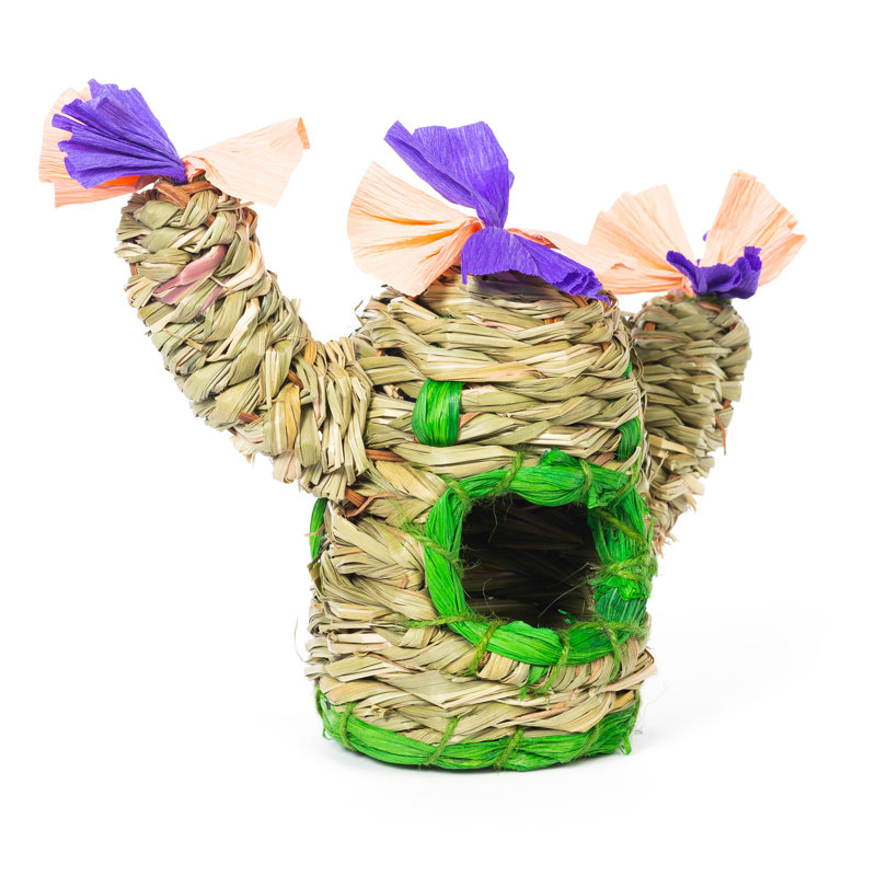 480449 Saguaro Hideaway - Petit