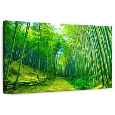Alvord Green Bamboo Pathway