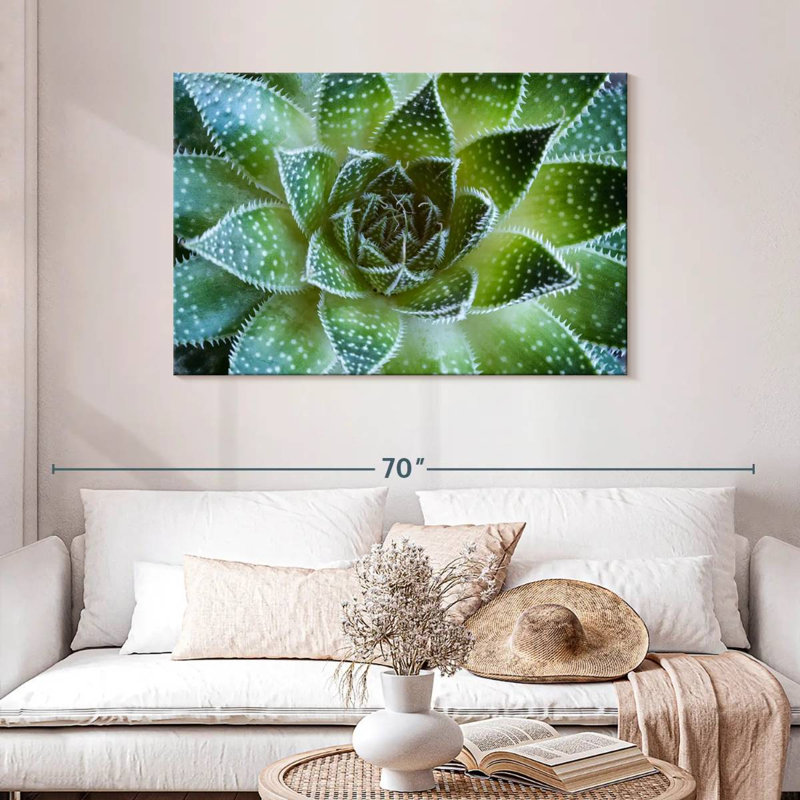 Harnek Lace Aloe Succulent, 30" H x 45" W