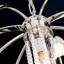 Dakota 7 - Light Sphere Chandelier
