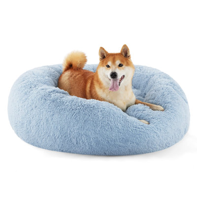 Calming Dog Bed for Medium Dogs