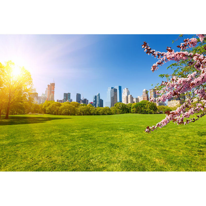 Central Park At Spring, New York by Sborisov - Wrapped Canvas Print, 30cm H x 46cm W