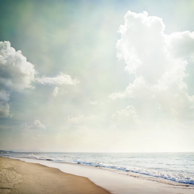 Nature par Jibasi - Photographie sur toile tendue