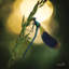 Reproduction de damoiselle en contre-jour par Martin Podt - reproduction-1436412903-1475833103