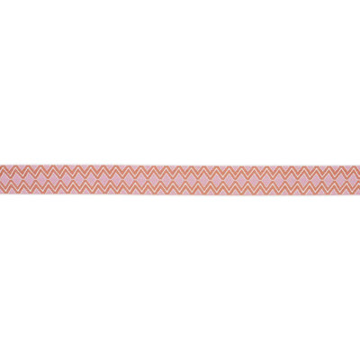 Schumacher x A Rum Fellow Pinula Tape