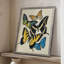 «Collage Butterflies II», reproduction encadrée - bois massif-289979674