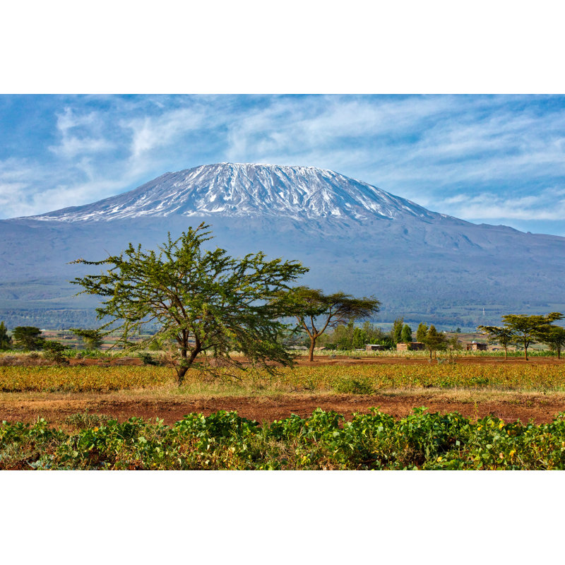 Mount Kilimanjaro With Acacia by 1001slide - Wrapped Canvas Print, 20cm H x 30cm W