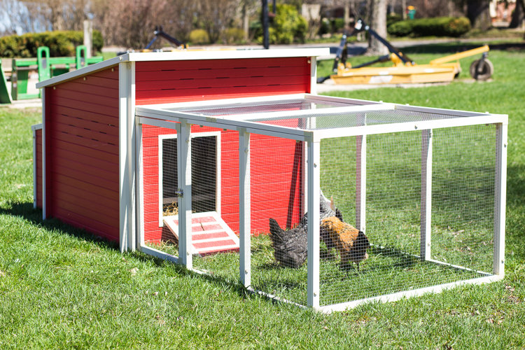 Red chicken coop.