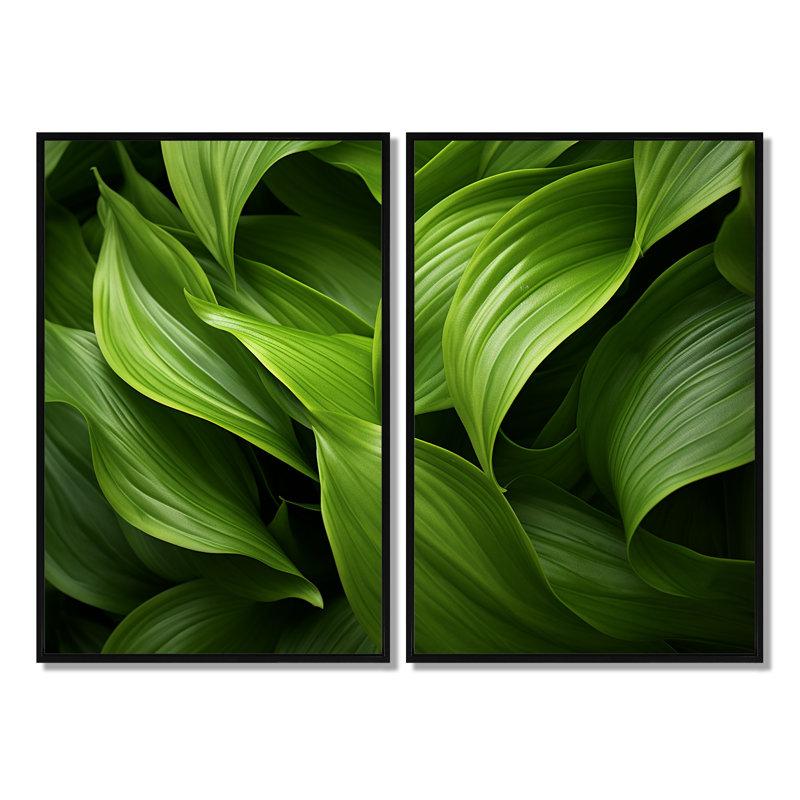 Décoration murale Greenerys Gaze I - Plantes florales, Noir, H 36 po x l 48 po, Impression encadrée flottante