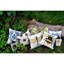 Kiser Square Cushion Cover