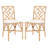Tyndalls Park Parsons Chair-1011305361