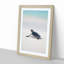 New Born Sea Turtle in Abstract - Picture Frame Graphic Art Print-55727778-55727776