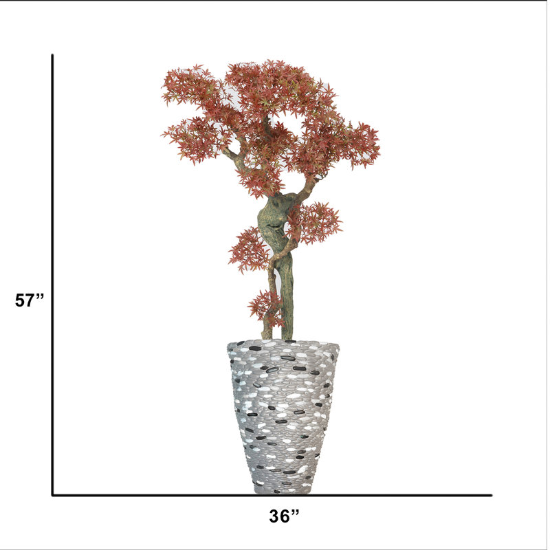 57 po H Bonsai Real-touch