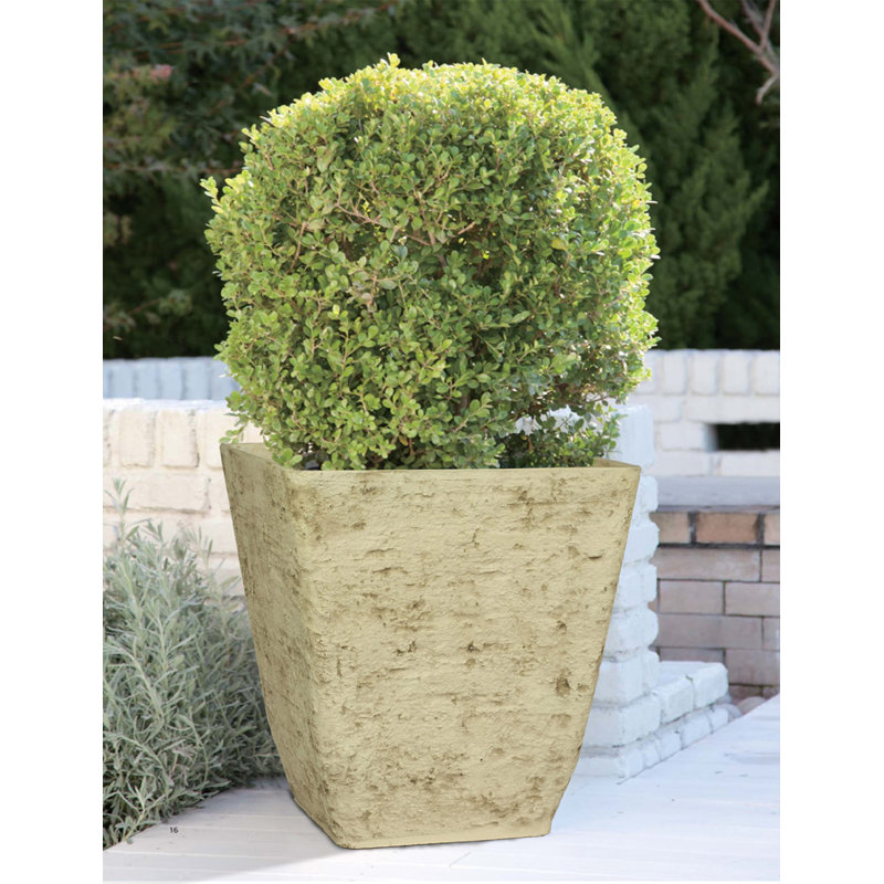 Waqaar Pot Planter, 16.75" H x 15" W x 15" D, White Birch
