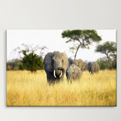 Print on Canvas