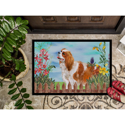 Non-Slip Outdoor Doormat