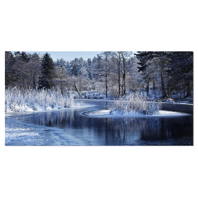 " Winter Lake In Deep Forest "