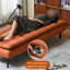 Roine-1196807928