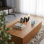 Roanoke Living room coffee table (with storage function), modern living room furniture, Brown