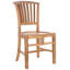 Celise Outdoor Teak Dining Side Chair