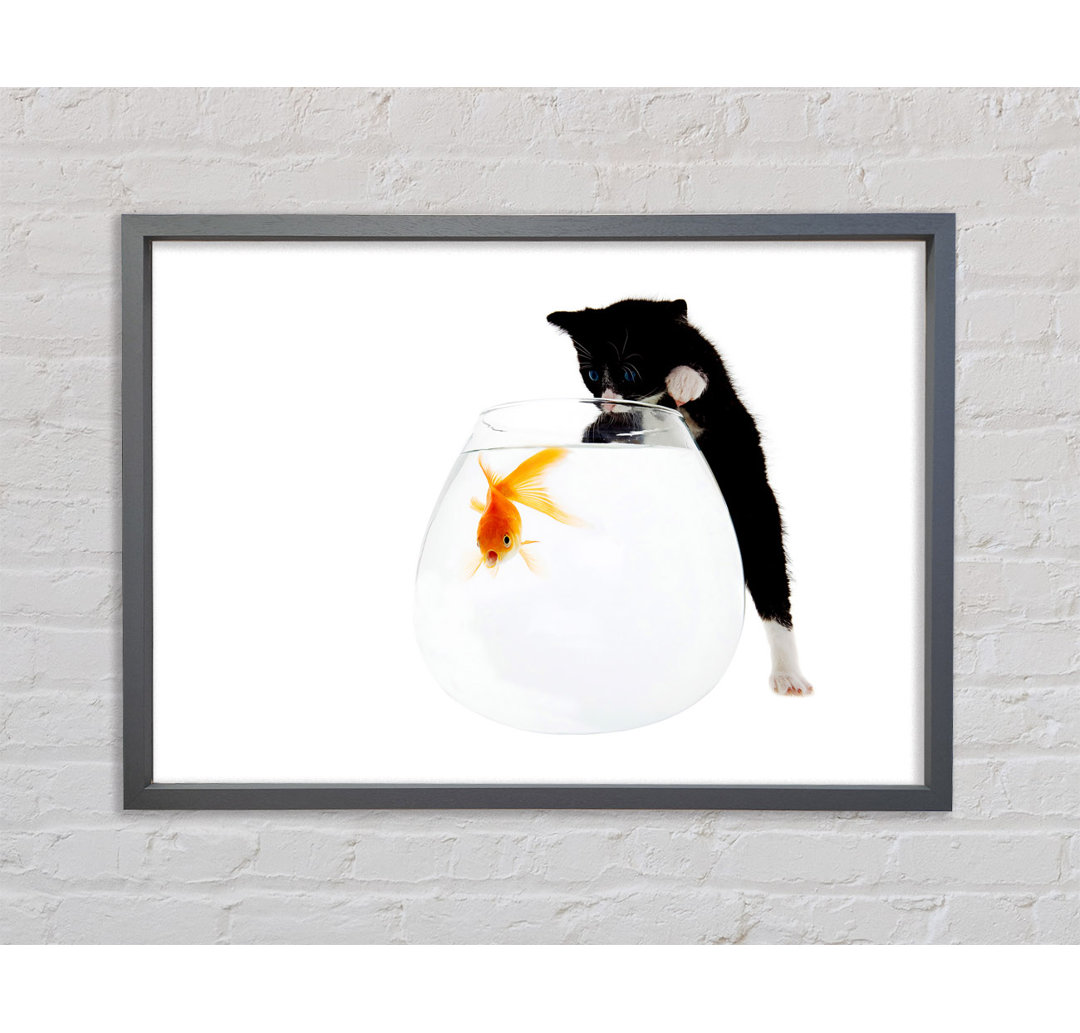 Kitten Fish Bowl - Druck