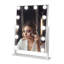 Mehrunnisa Rectangle Floor Mirror