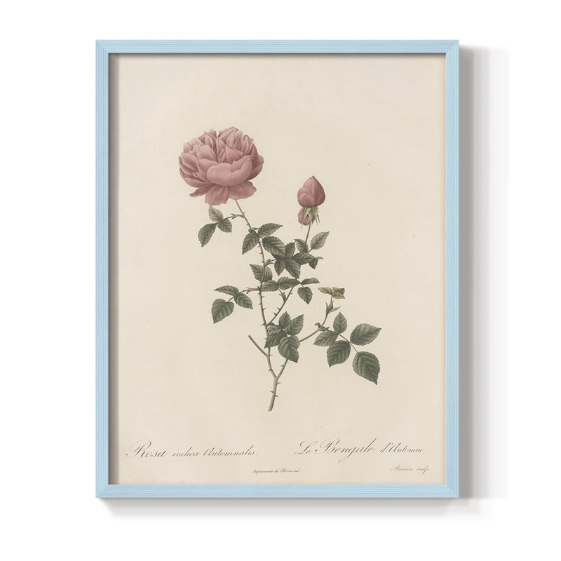 Vintage Floral Print CXLIII Framed Print - Solid Wood, 30" H x 24" W, Blue