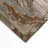 Ancient Majesty Indoor And Outdoor Area Rug-877608117