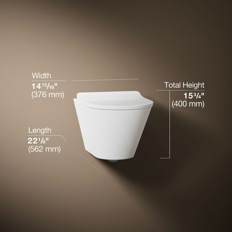 Brazn Wall-Hung Round-Front Toilet Dual-Flush