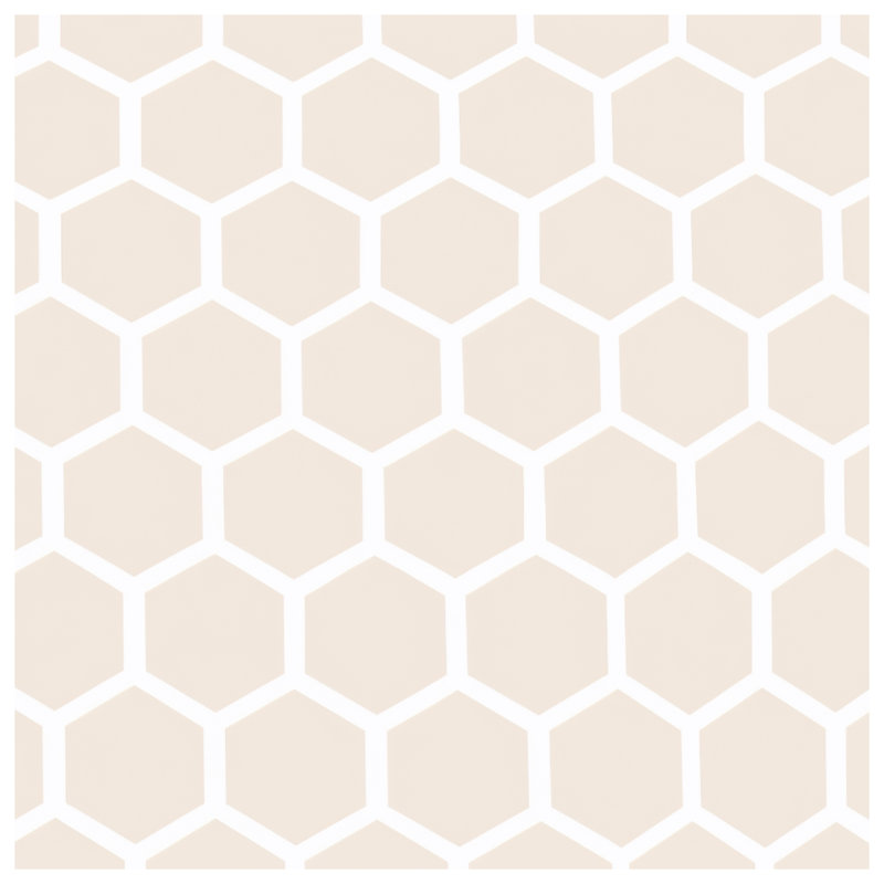 Coussins décoratifs beiges à motif hexagonal, 14 x 14 inches