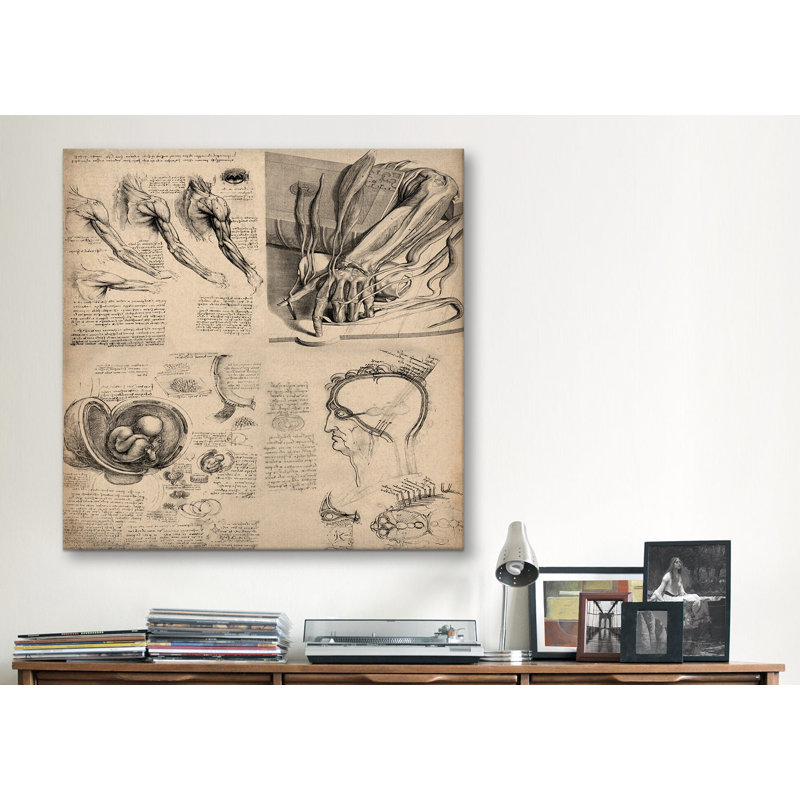 " Human Body Anatomy Collage " by Leonardo Da Vinci, 12" H x 12" W x 1.5" D