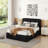 Queen Size Upholstered Platform Bed, Black