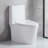 Small Compact One Piece Toilet Dual Flush